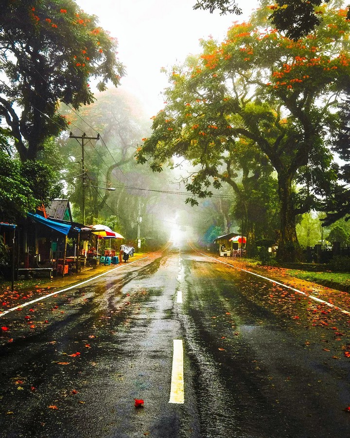 Nature Beautiful