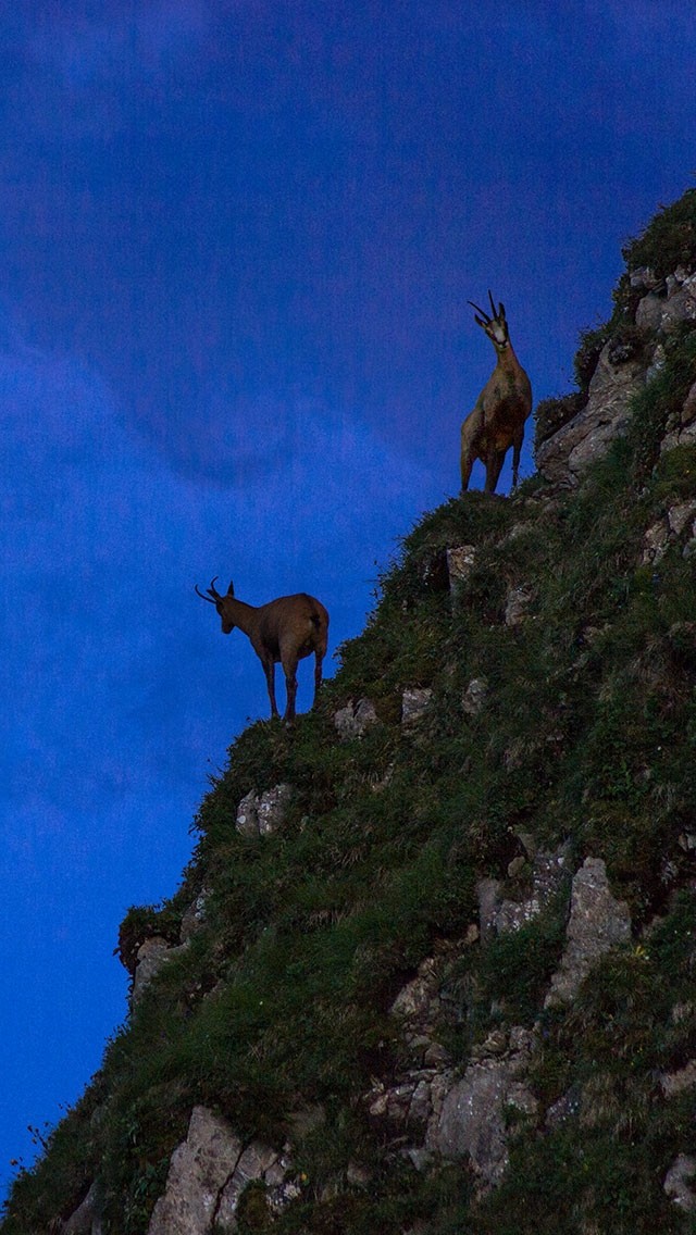 mountain