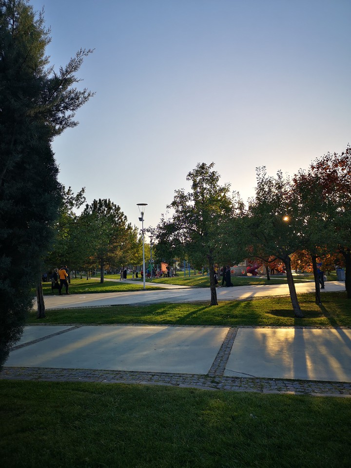 park