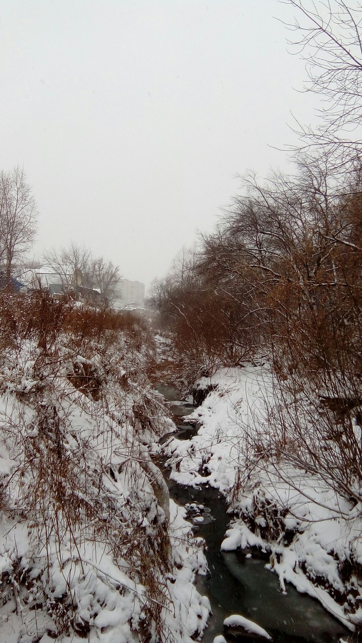 Winter river