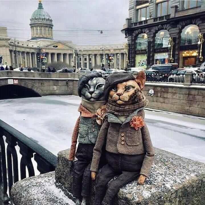 Петербургурские коты