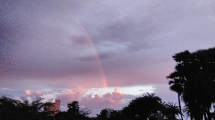 The colours of Rainbow