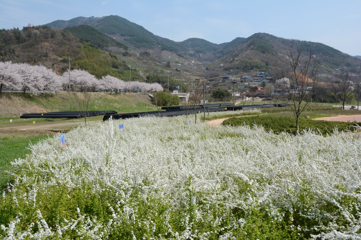 하동이미지