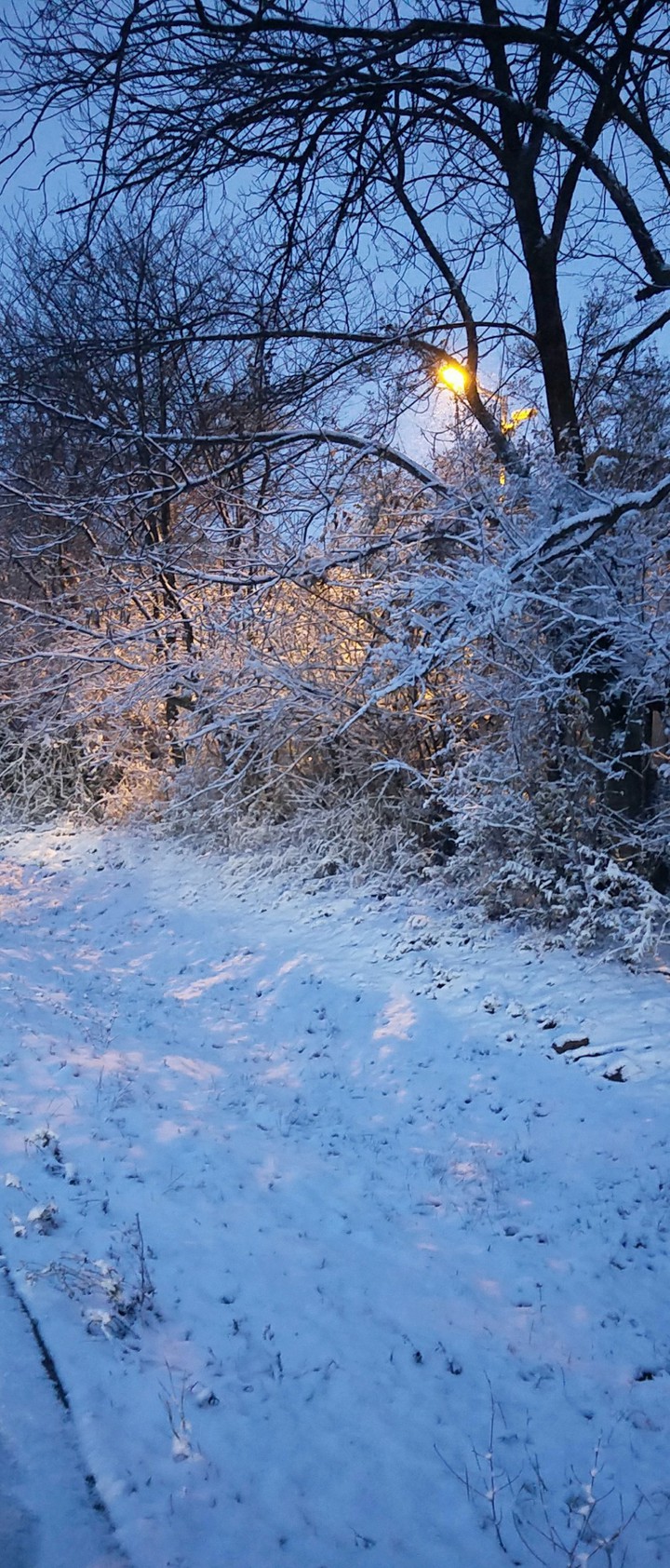 Snow glow