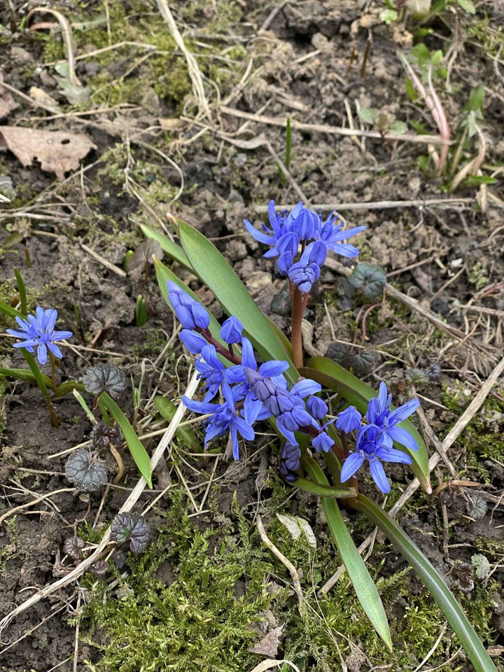 ??