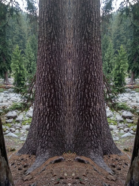 Pattern recognition