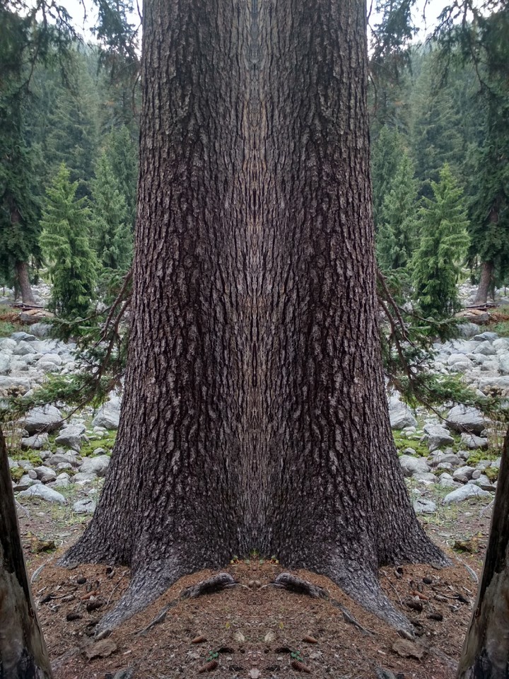 Pattern recognition