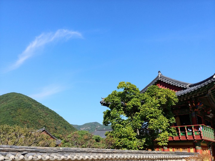 청도