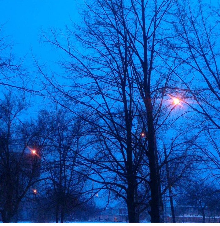 evening