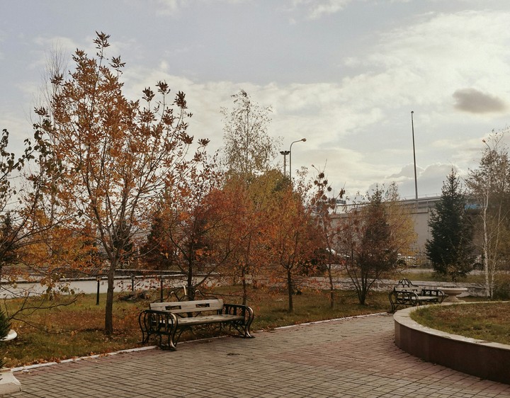 autumn
