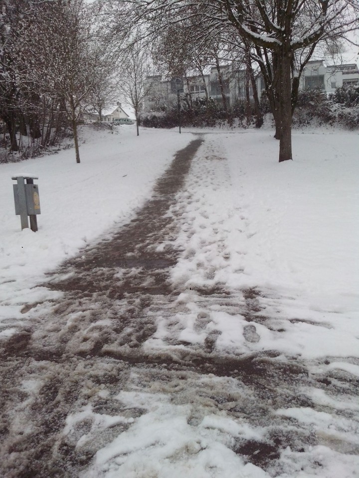 snow