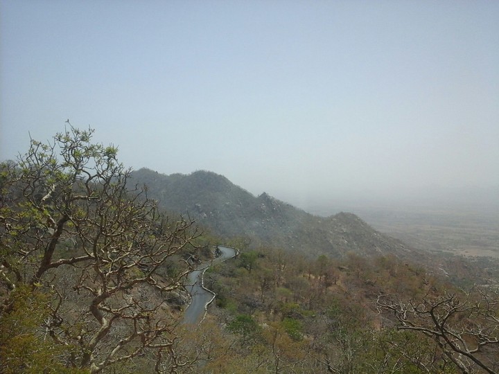 A road to the home.