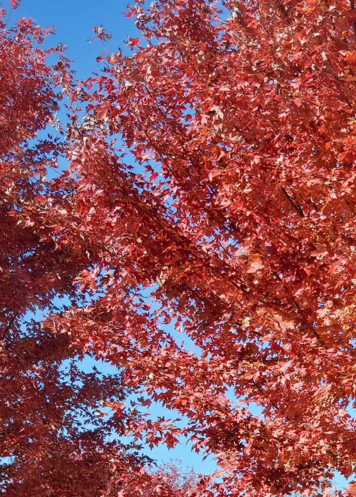 sky