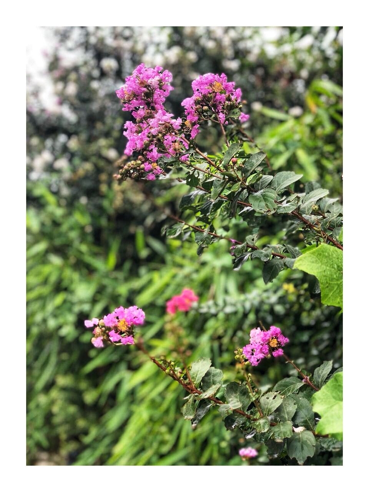 nature on fleek