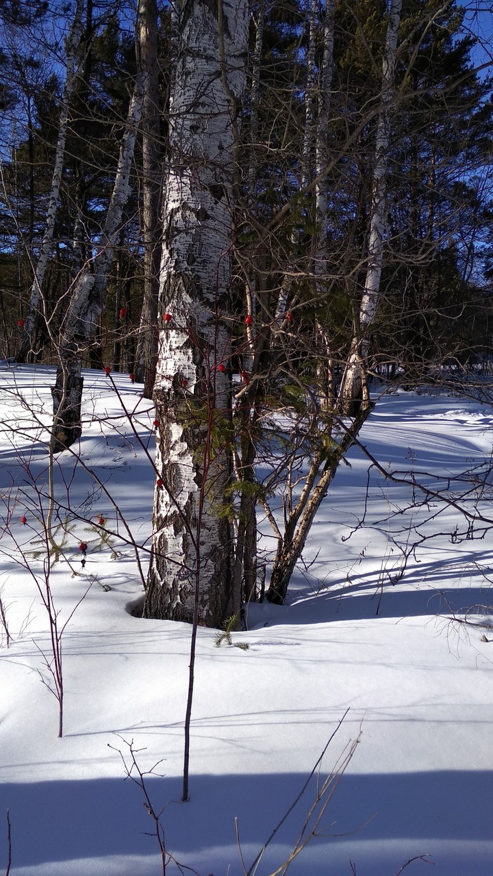 march
