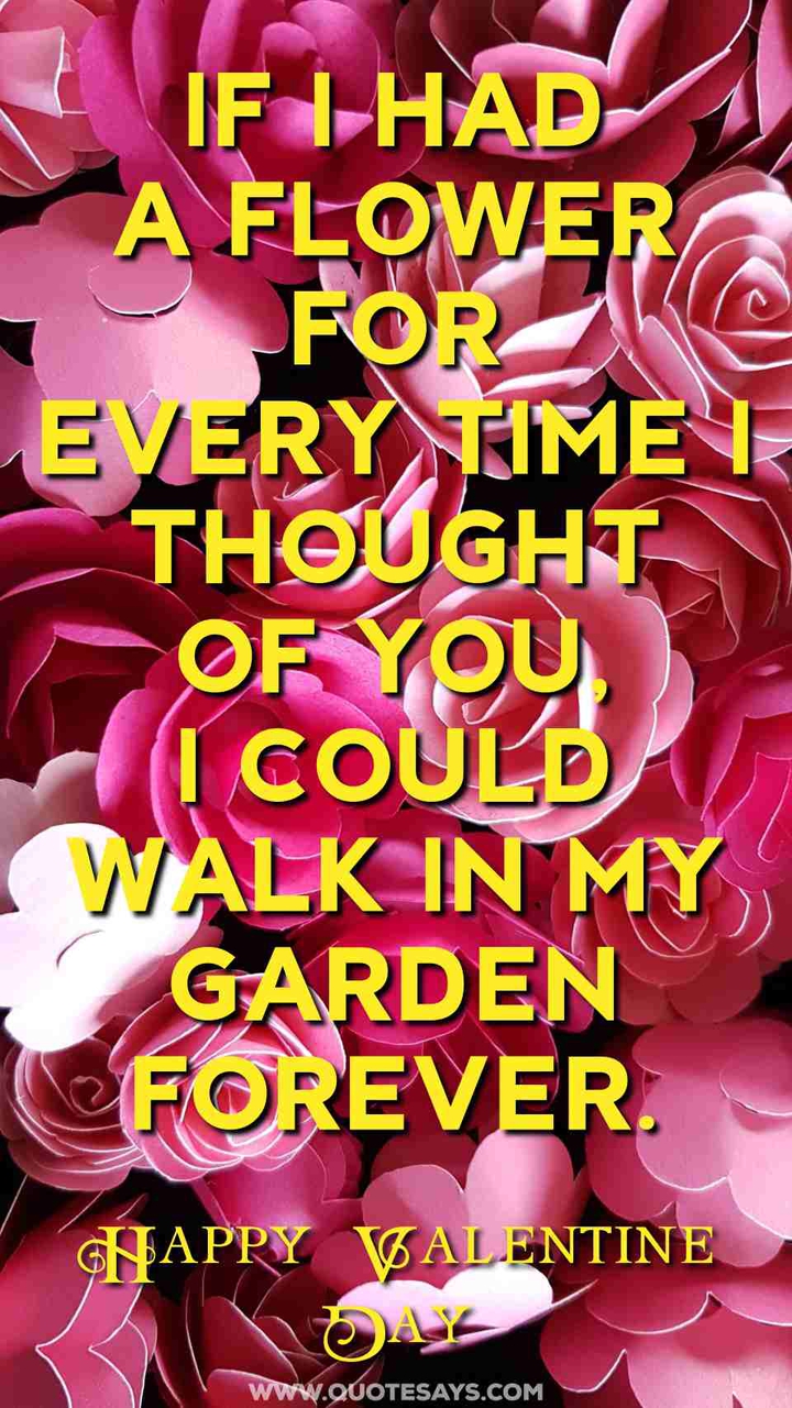 valentine, couple, love, heart, quotes,