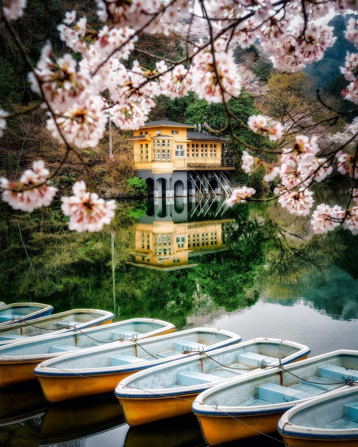 Lake