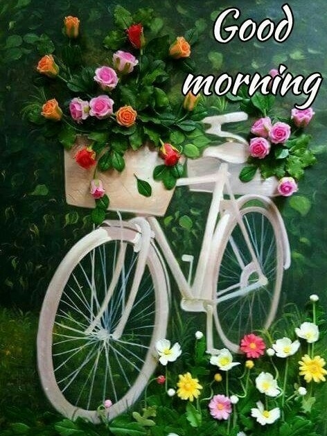 morning