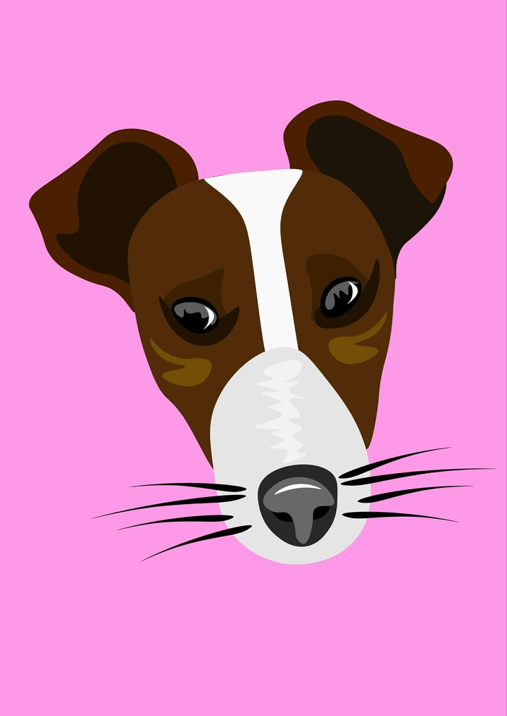 Foxterrier