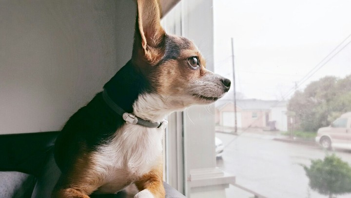 ❤☺❤