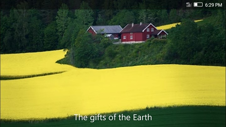 #somuchgreenery