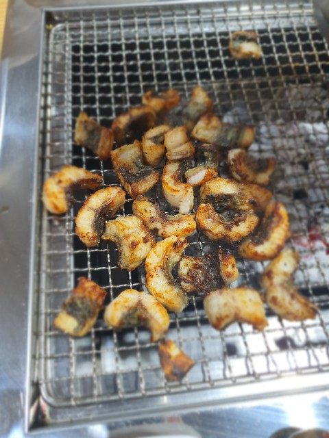 장어