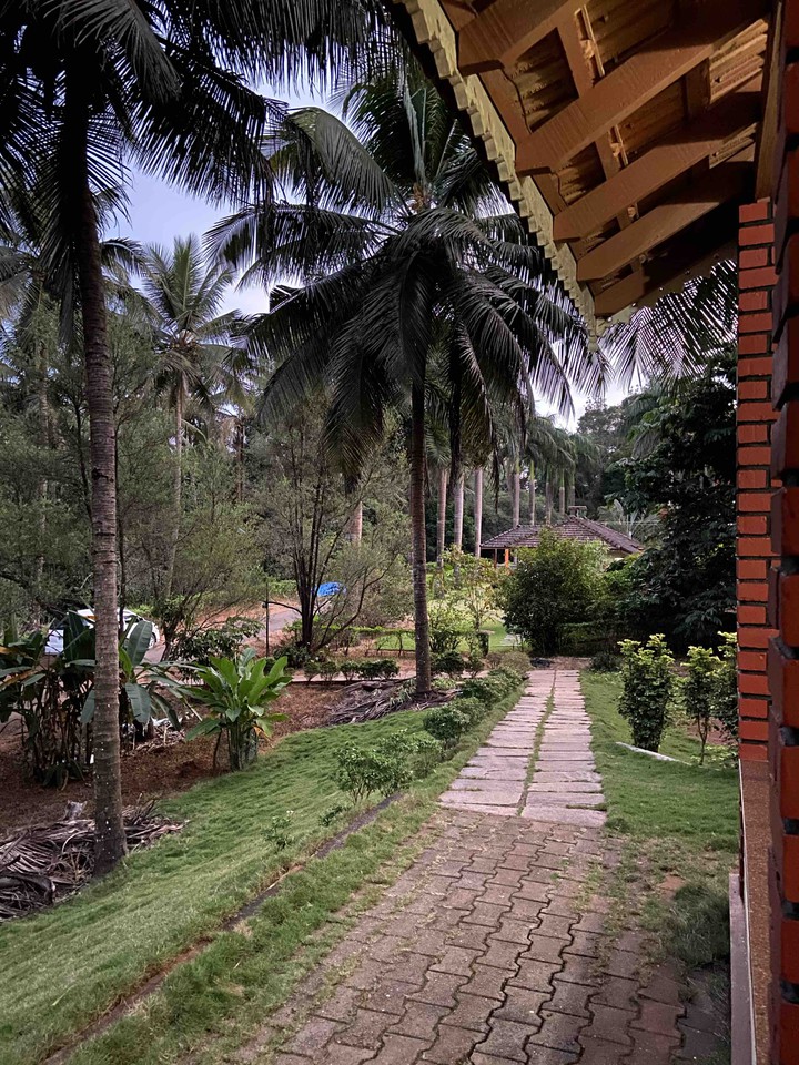 Middle of the nature