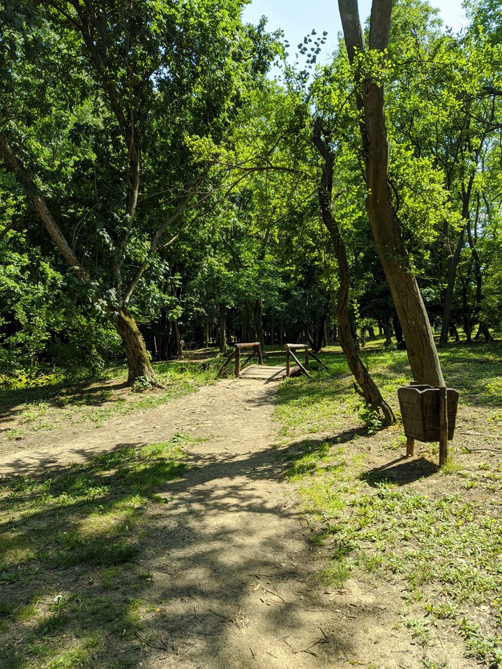 Nature