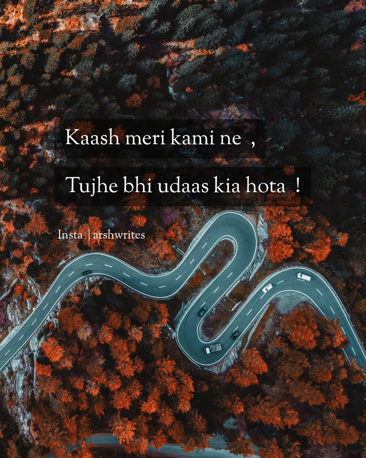Two Lines Shayari  .