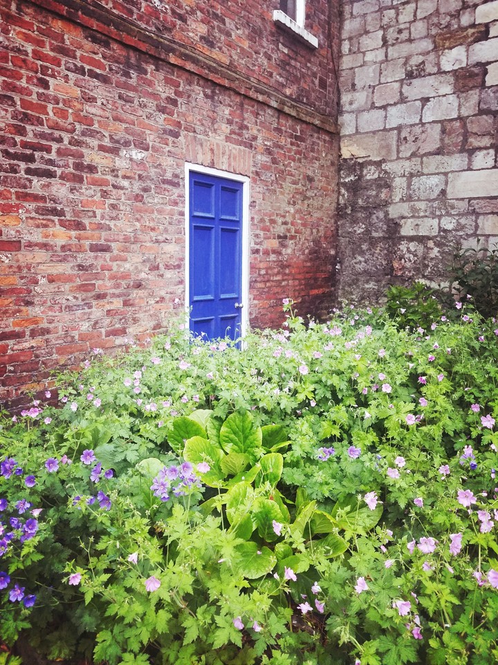 York, UK
