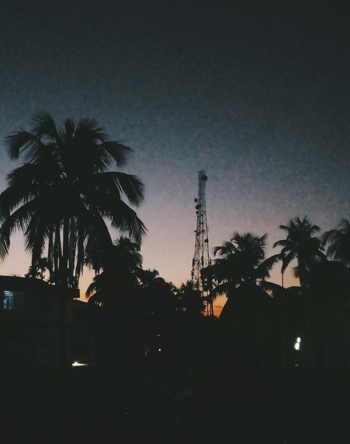 Tower and Dark trees at dawn.