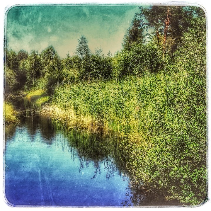 Natur Pur