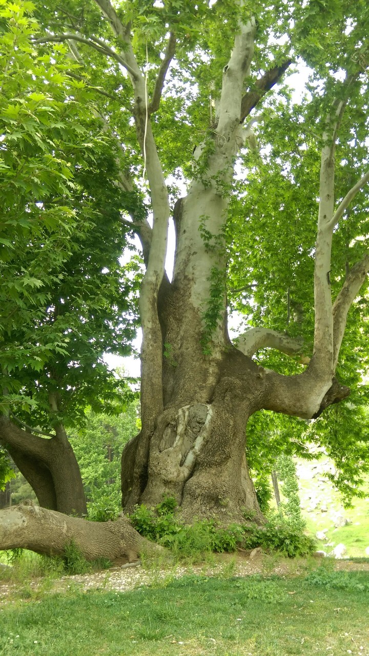 The nature of the area is very beautiful and ancient