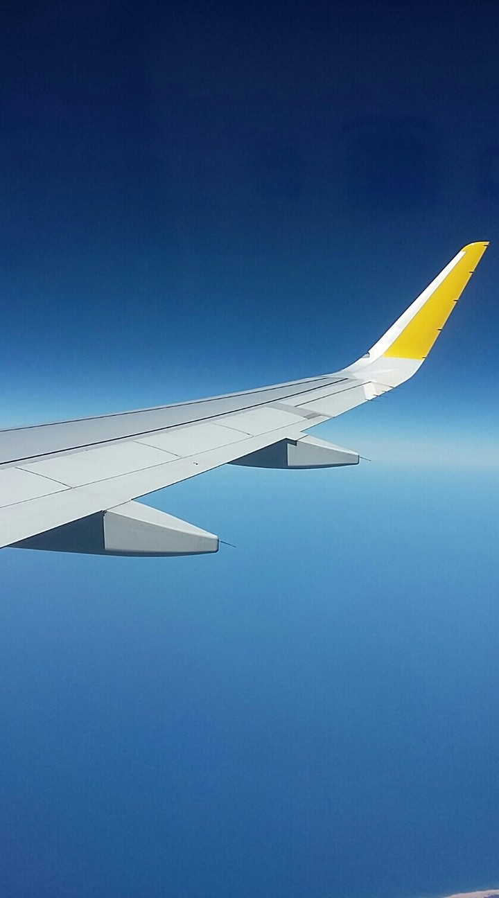 Fly ✈