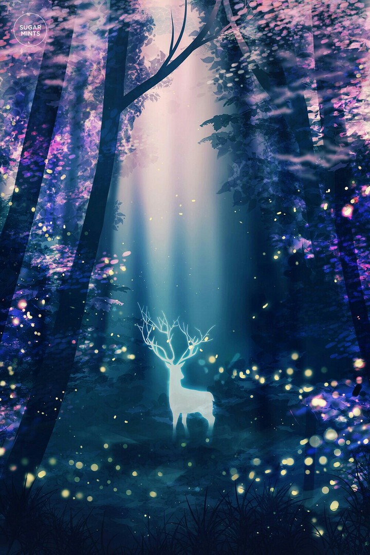 Night