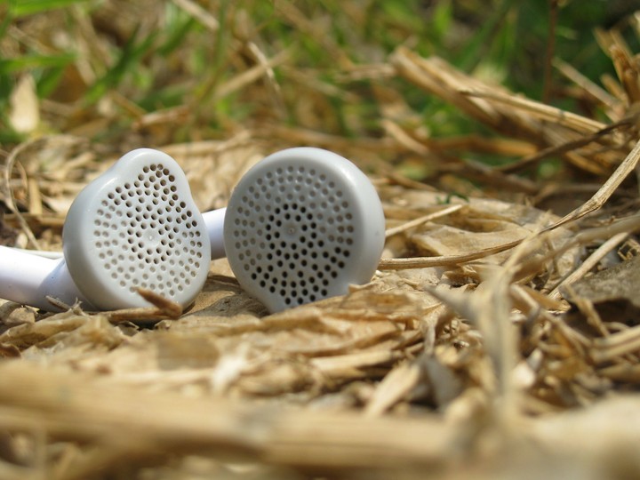 Music in garden