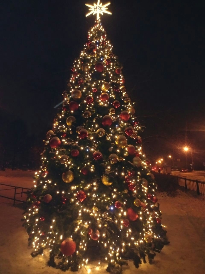 Елка