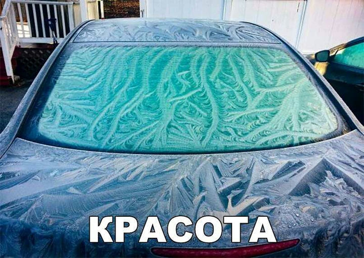 красота