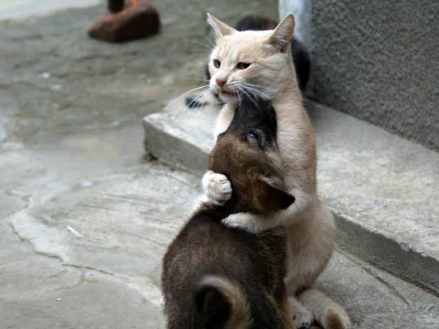 friends