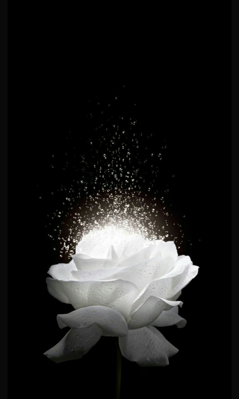 for u