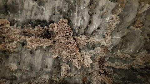 Cave