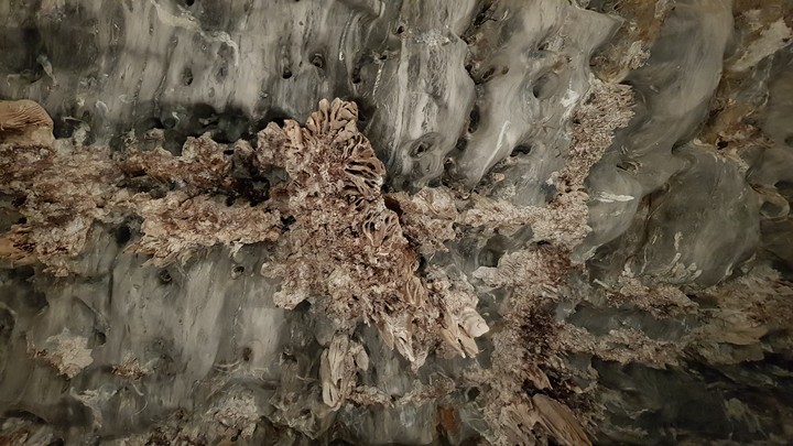 Cave