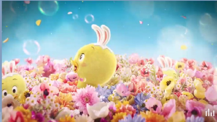 bubbly blossoming Spring