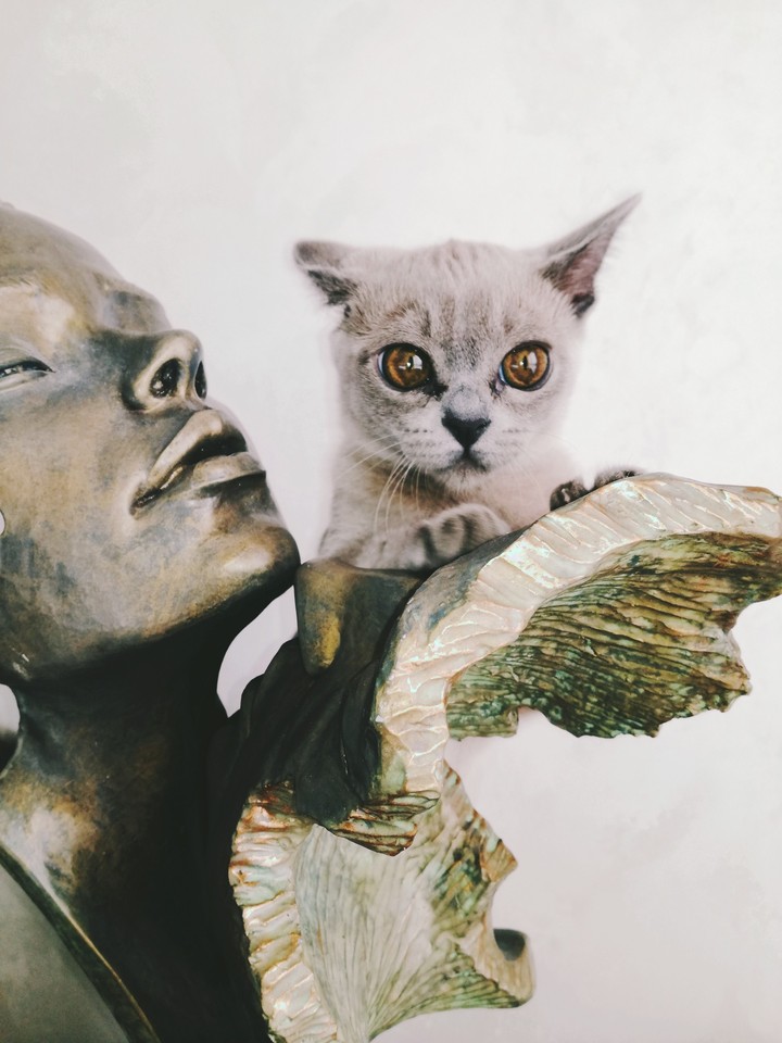 Kitty