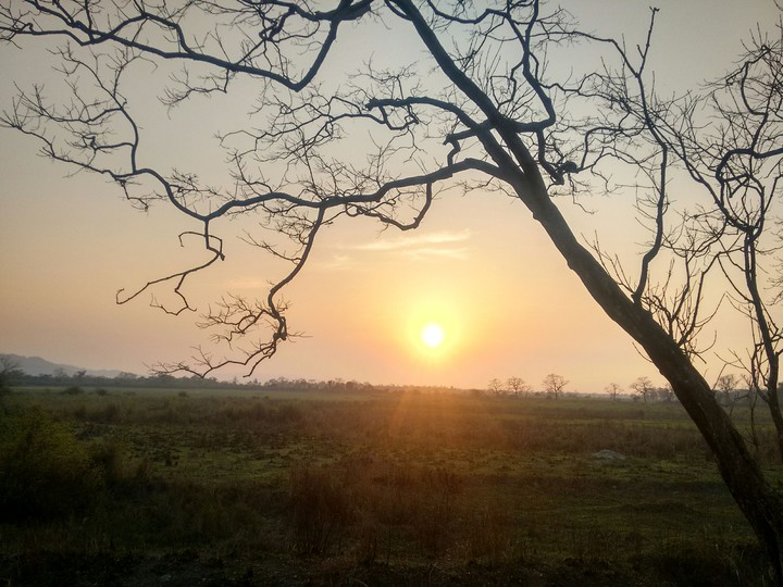 sunset