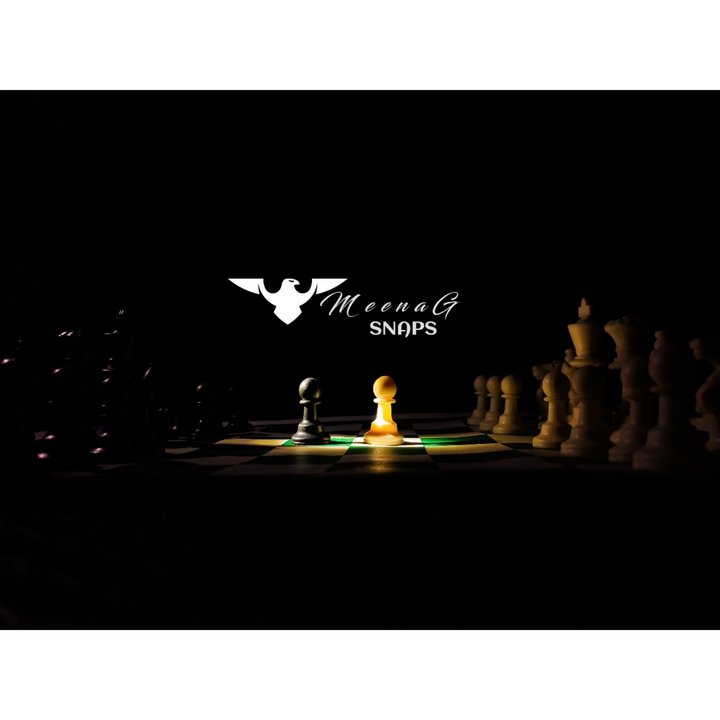 The most powerful weapon in Chess is to have the next move”