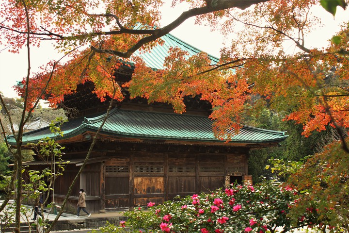 Autumn_leaves,2020