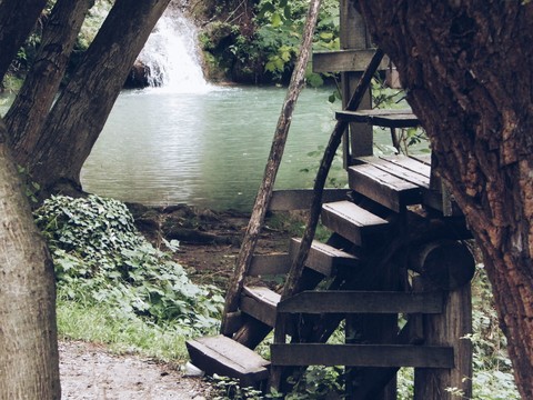 nature