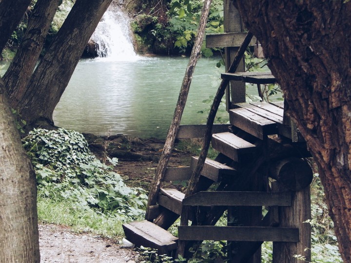 nature