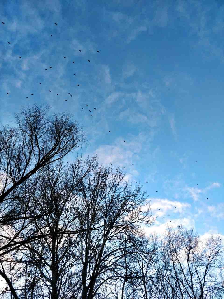 nature